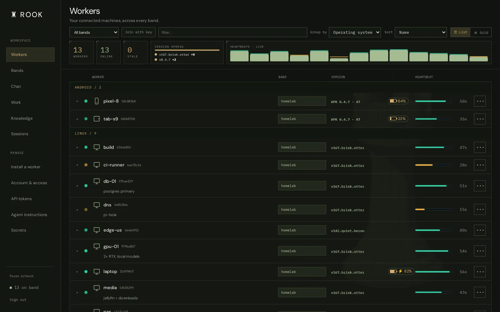 The Rook dashboard listing thirteen workers grouped by operating system, with versions, batteries and heartbeats